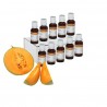 Euroscent Fragrance - Melon